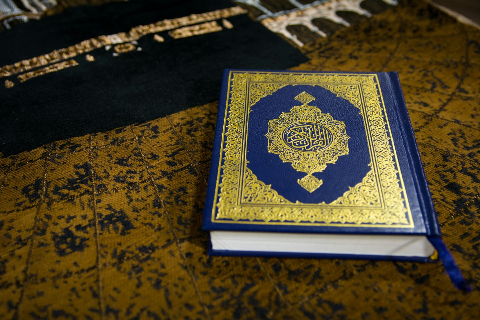 Couverture livre niveau 1 - alphabétisation et lecture de textes.