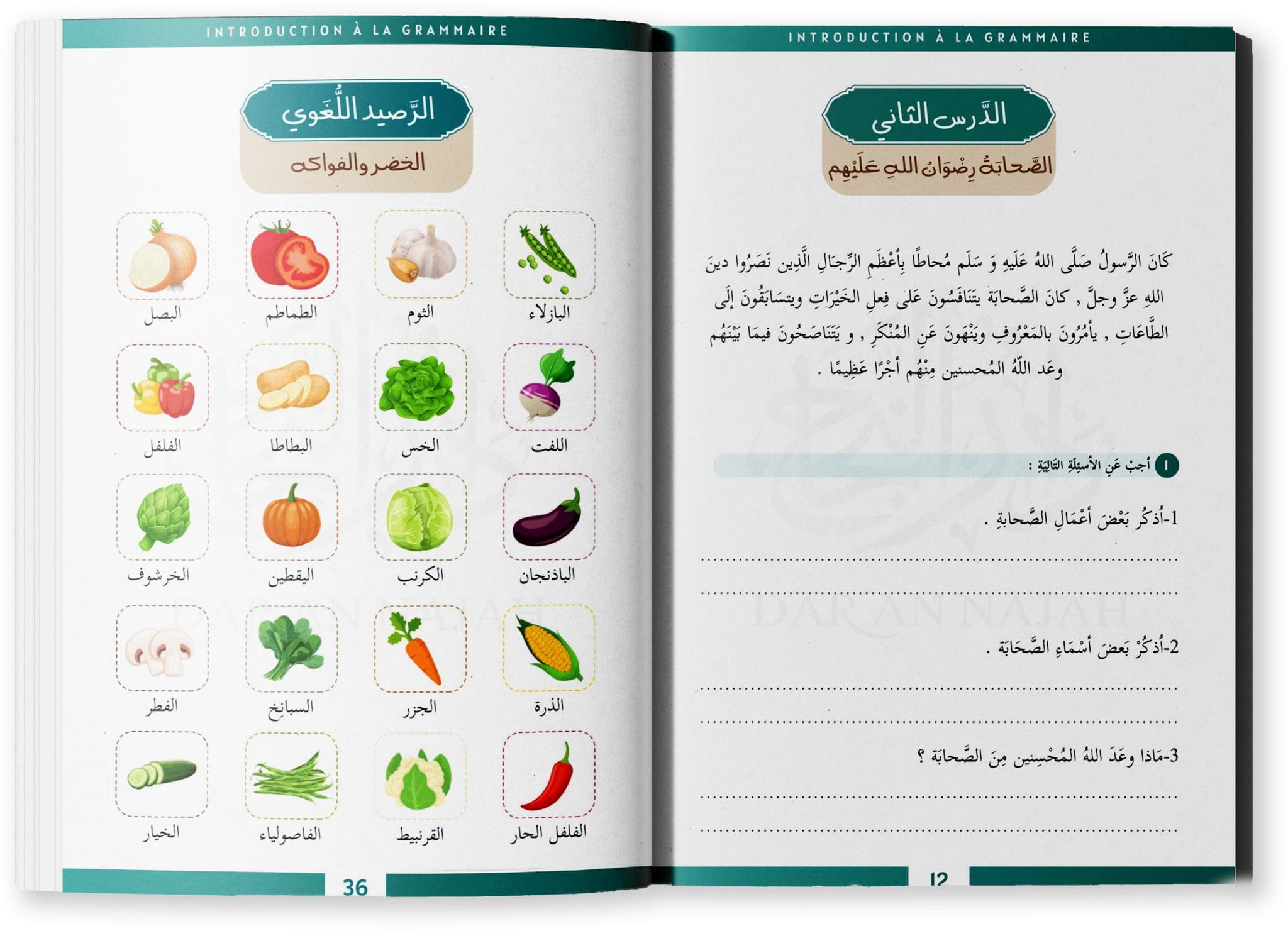 Pages intérieures livre niveau 3 - introduction à la grammaire.